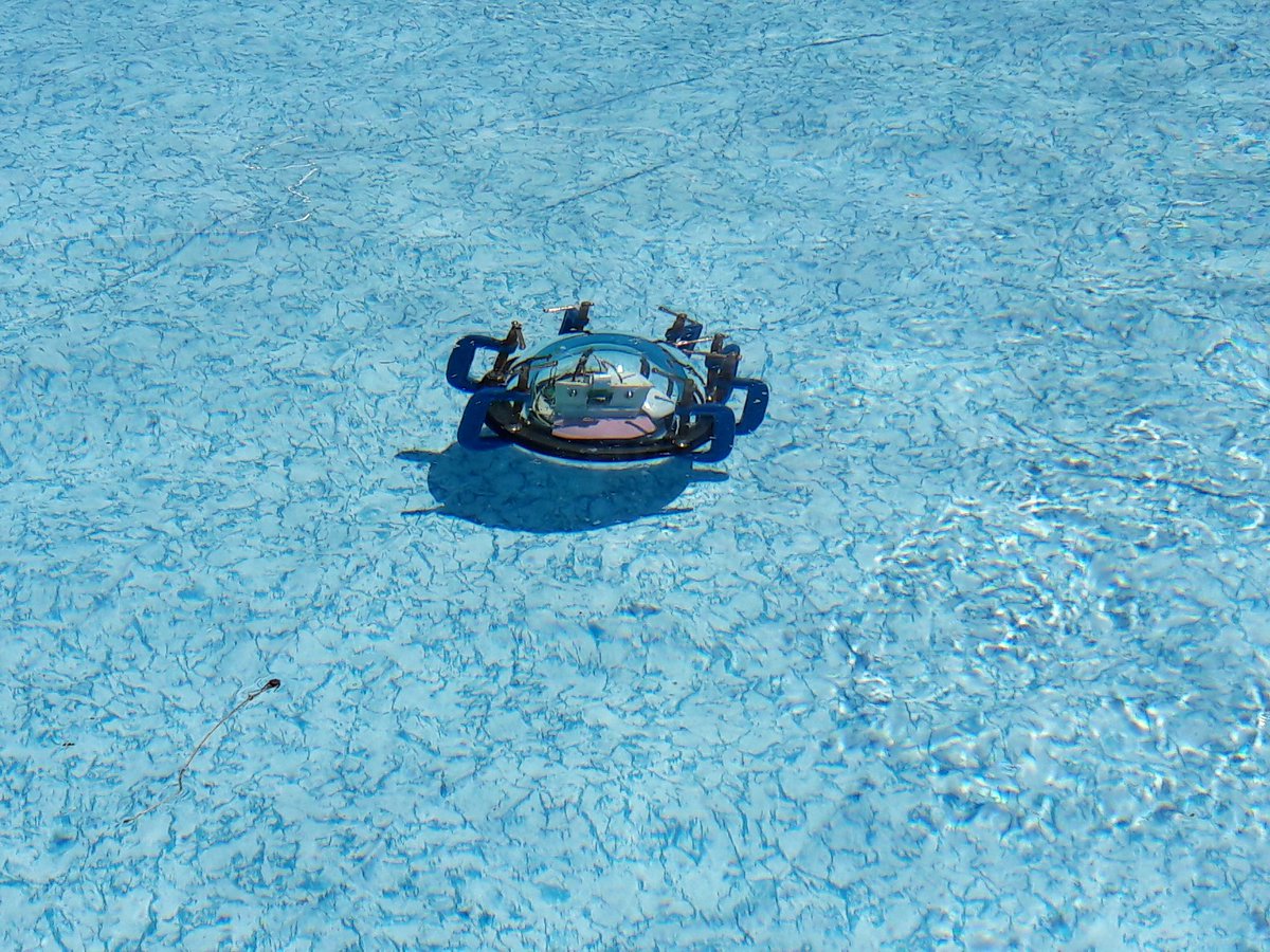 ProjectPiccard tweet picture