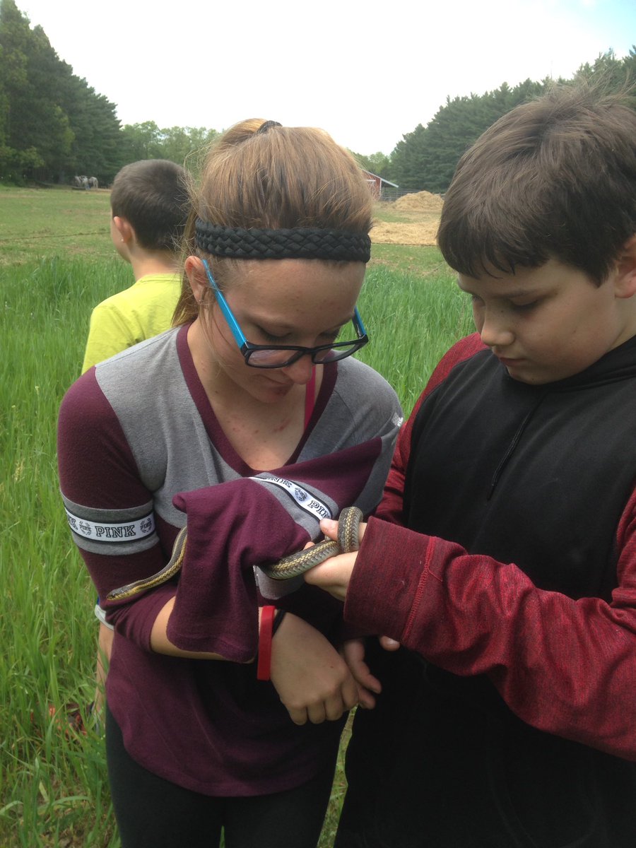 SkozlowskiSue's tweet photo. #msdrocksbecause another year of camp over! Exhausted but so worth seeing my kids outdoors having fun! https://t.co/fQcqHcg3FO