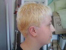 LitchfieldCraft's tweet photo. @Mia55511 the dye has gone on. Now we have to wait for it all to take, ..  If anyone would like to donate to Mia then please visit her page https://t.co/yo5r0tmgbg