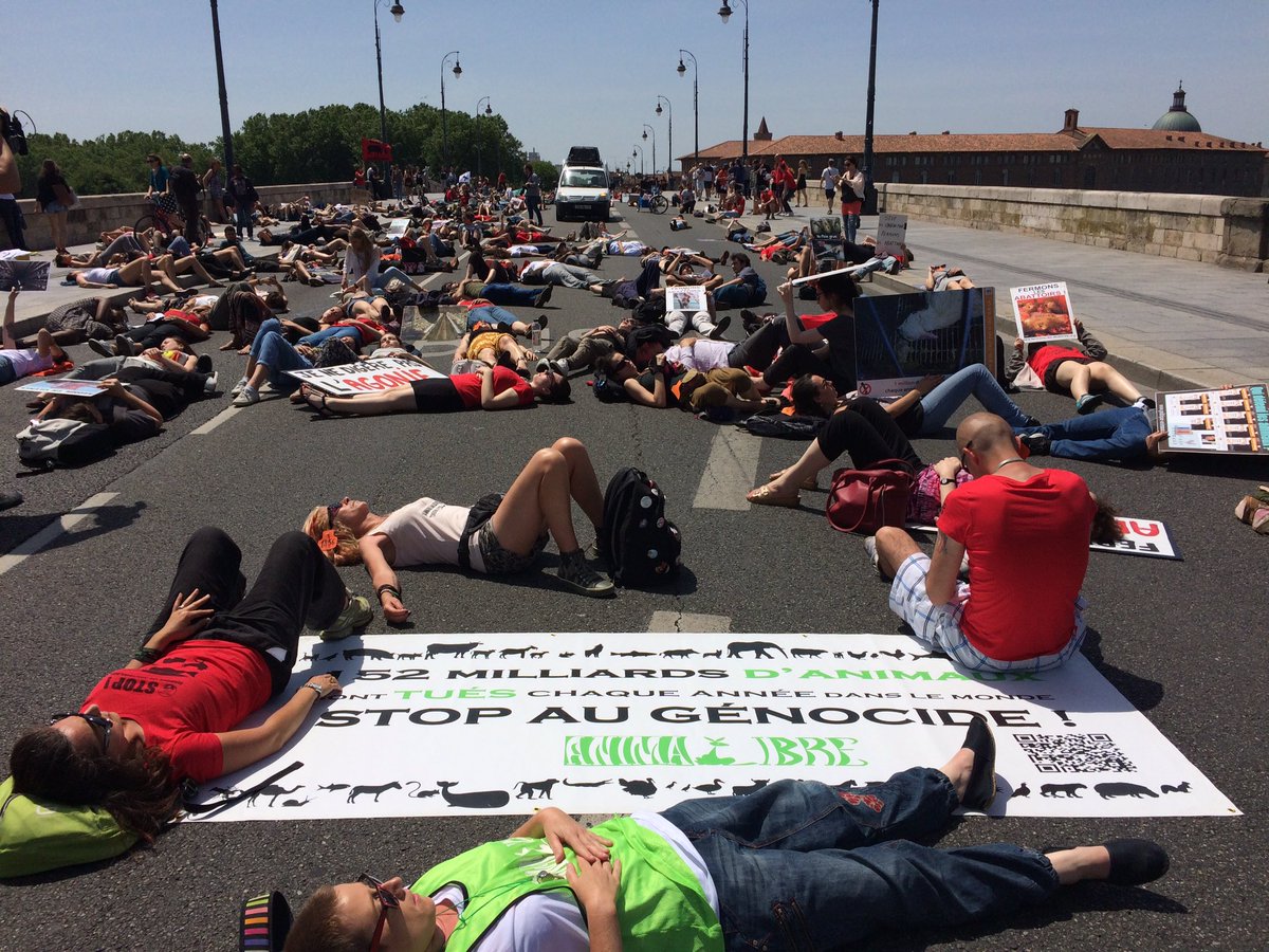 stefcompan's tweet photo. Manifestation de l'association #L214 à #toulouse pour la fermeture des abattoirs https://t.co/cDUpMzcJJL