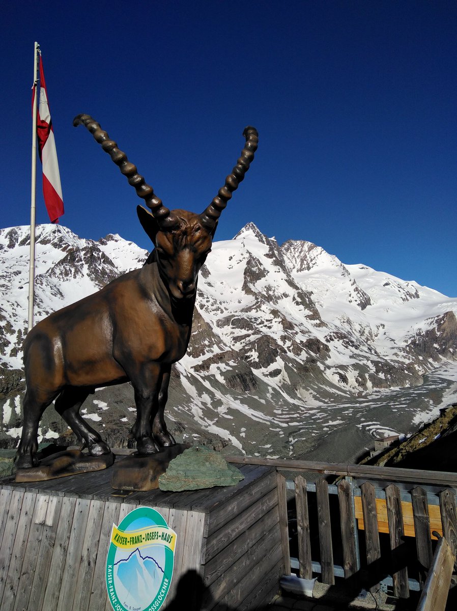 GFGFOTO's tweet image. @GFGFOTO  #Großglockner #Steinbock #Traum #Wetter #2418m #Kärnten #is #lei #ans