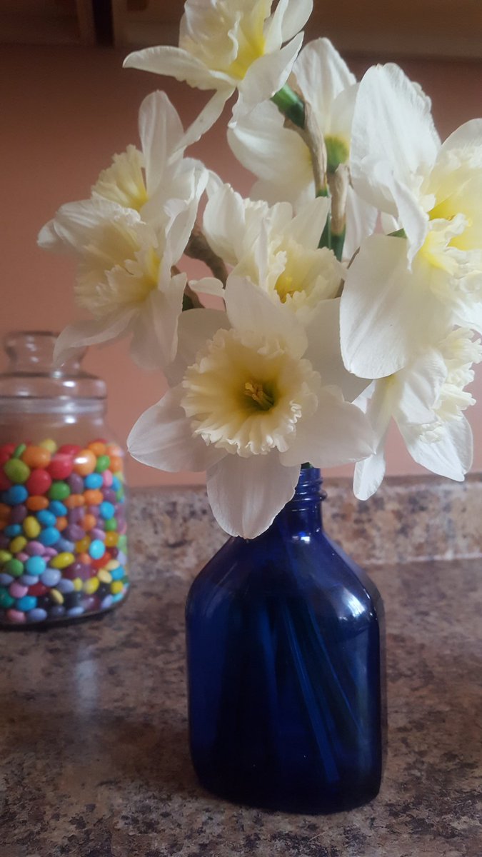 batsinthabelfry's tweet photo. Husband goes outside with chainsaw, uses chainsaw, comes back inside with these #wtfdidyouneedachainsawfor #whatdidyoubreak https://t.co/LkHKrWZGLN