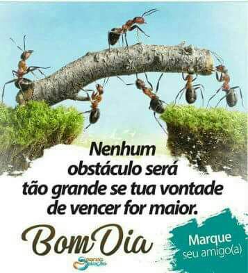 jeeelfoda's tweet image. Eternosbetaslab 

#betaseguebeta #BetaMigos_Oficial