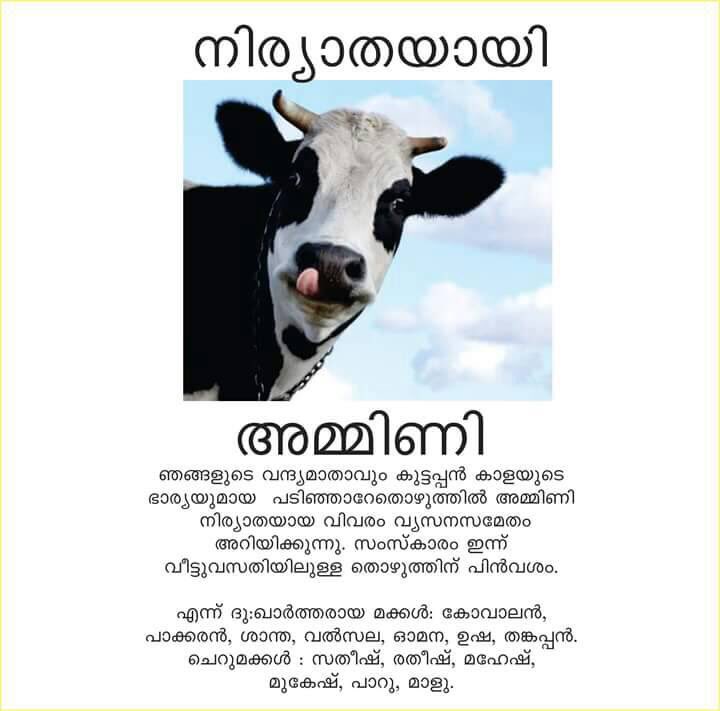 Myselfcorleone's tweet photo. #PoMoneModi #BeefBan #beefban #keralarejectsslaughterban #keralablogexpress #keralabeef #WeEatCow #wehatebjp #WeWantBeef #getouthouse #BEEF https://t.co/Y0e1F7J9ur