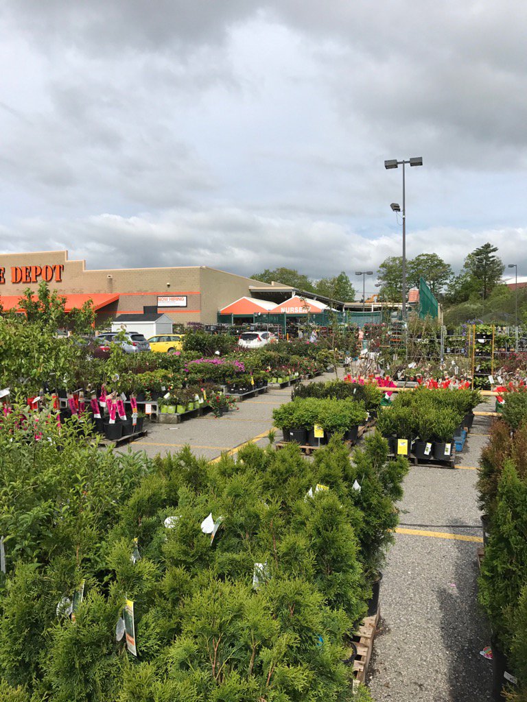 homedepot2403 tweet media