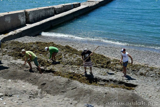 View image on Twitter