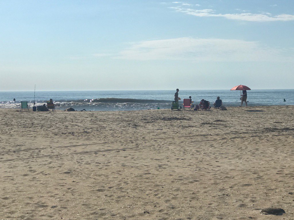 It's a beautiful day on Assateague.