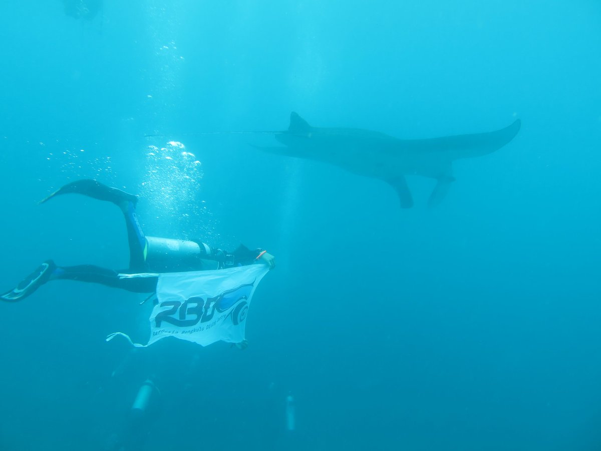 ayubsugara's tweet photo. Mari sama-sama  memsyarakatkan olahraga selam di Bengkulu @ridwanmukti1963    @mediacenterBKL 
Never dive alone.
#Let's dive to save our sea https://t.co/kl0oJyMrfQ