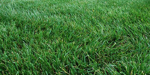 WeedProLawnCare's tweet photo. The Worst Things a Lawn Company Can Do While Performing Landscaping Services https://t.co/kKTwyr1o4S 
#WeedPro #Landscaping https://t.co/axj9yxik1T