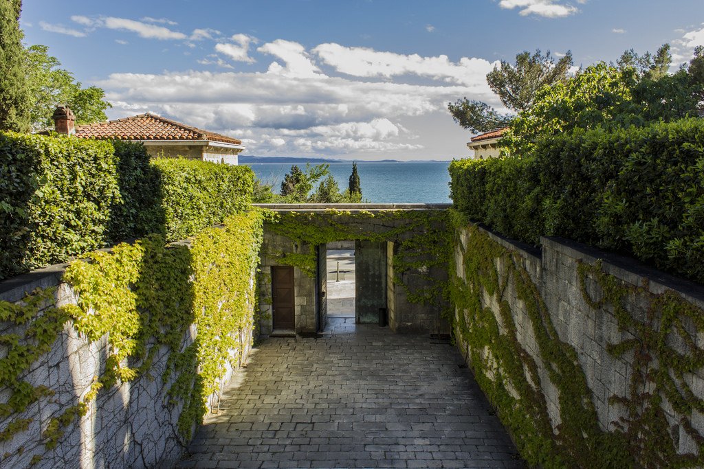 split_tours's tweet image. Galerija Meštrović Door to the Sea

#split #splitwalking #europewalking #splittours #travel #discover #experience

ow.ly/yuZj30c3Tcl