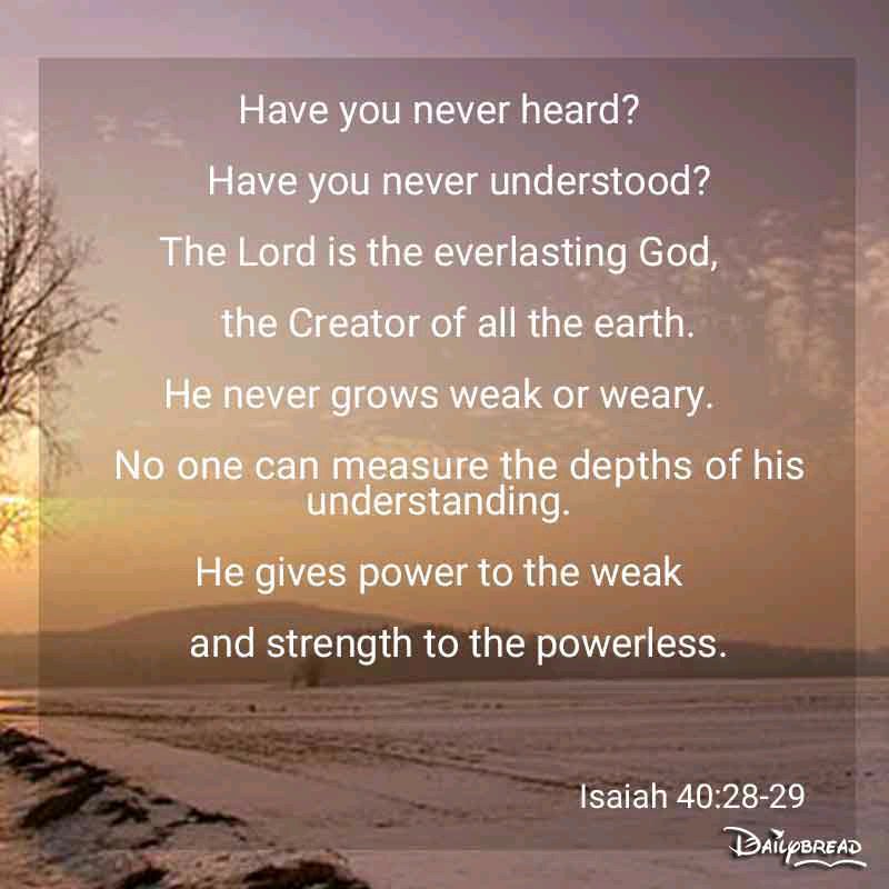 efcookie's tweet image. Share