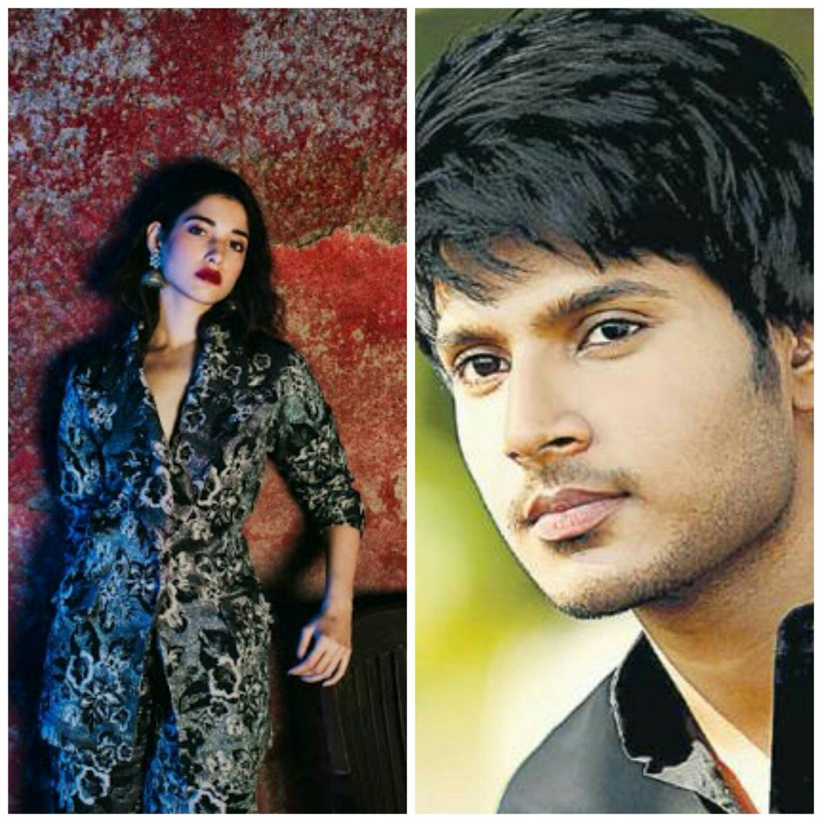 am_princy88's tweet photo. @tamannaahspeaks Is Gng To Pair Up With @sundeepkishan for a rom-com under the direction of #Fanaa fame @kunalkohli https://t.co/mvHaGicB4B