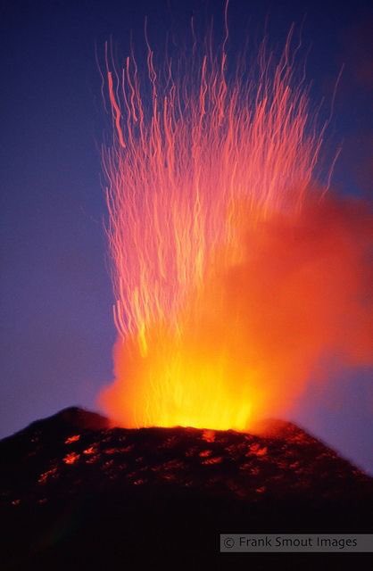 🇺🇦🩸🐝MrCrowley⚔🐝🩸🇺🇦 (@celtic__rain13) on Twitter photo 