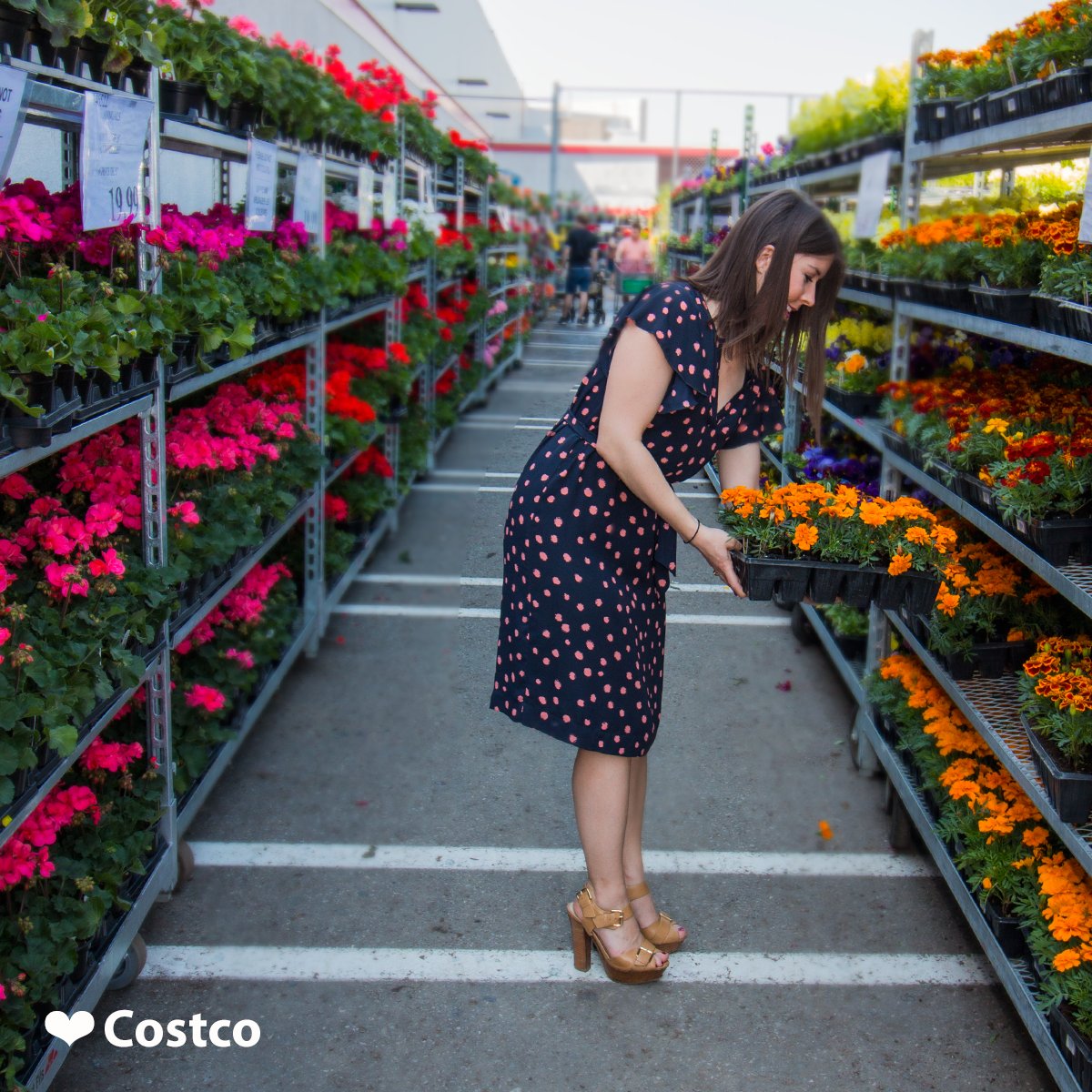 Costco Canada On Twitter Time To Beautify Your Garden Visit