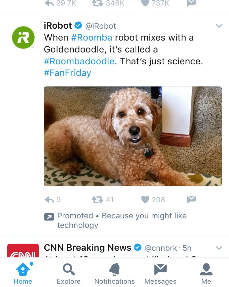 EKL622's tweet photo. I was scrolling through Twitter when an ad with my actual dog came up on my feed. Hi, Laney! Hi, Rita the Roomba (who you can't even see)! https://t.co/u16nZb8tNK