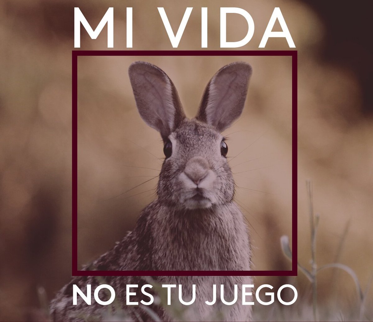 TvAndFun's tweet photo. NO A LA CAZA #turifoto17 https://t.co/jt8mgLXgKN