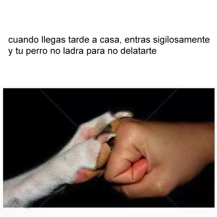yisucrist's tweet photo. buena esa bro https://t.co/dRoSi30t1t