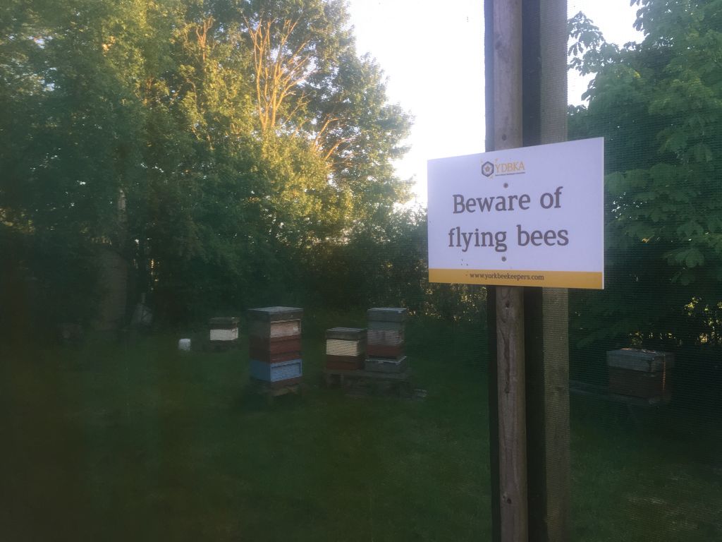 York Beekeepers tweet media