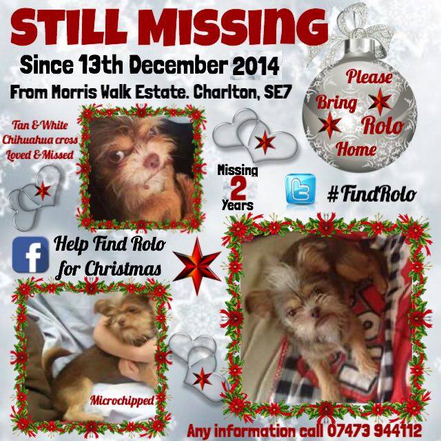 Betrayed_Pets's tweet photo. Retweeted amber (@blacklab115):

#findrolo #missing https://t.co/30Wx2yOrO2 https://t.co/pUbGfdmyEY