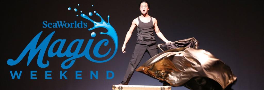 SeaWorldTexas's tweet photo. Don't miss the next magic show at 3:15 pm over in Nautilus! https://t.co/JOE7KrN6xW