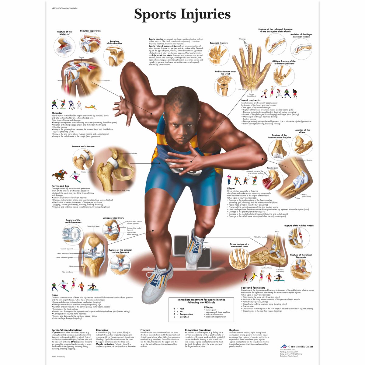 KraftChiro's tweet photo. There are many types of #SportsInjury &amp; they all hurt. Speed up the healing process. Learn more https://t.co/fno38LR1Ak #GetMovingKeepMoving https://t.co/j4IhJnVPL7