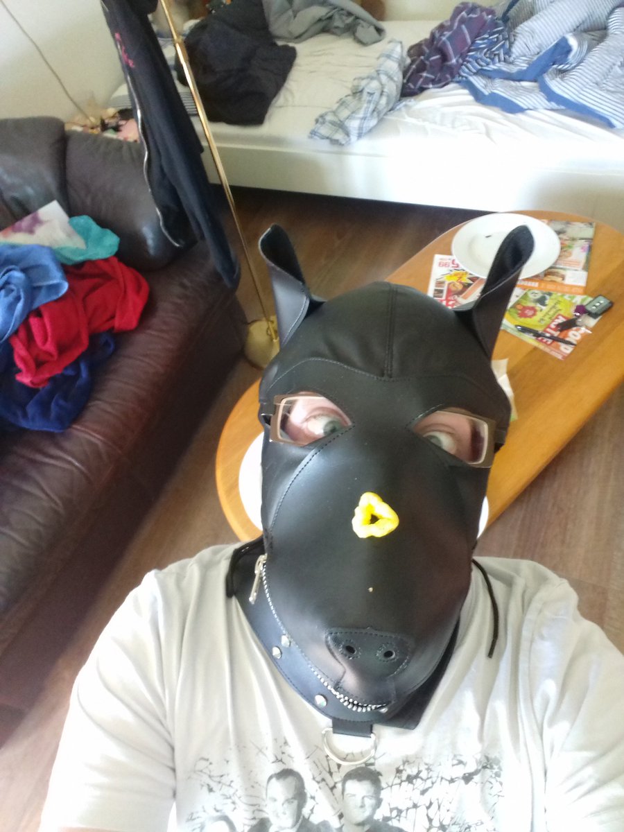 AlexTThunder's tweet photo. Is there something on my nose?
#pupplay #practische https://t.co/5Sba4ZoODS