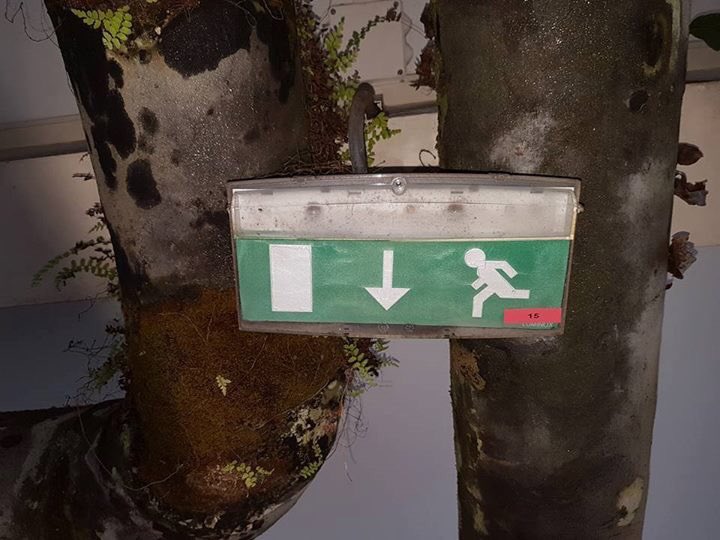CallMeHarrye's tweet photo. Bonjour @EmmanuelMacron , je suis française et je tombe malade mais l'hopital chez moi en Guyane ressemble actuellement à ça. Une solution ? https://t.co/RtLNYMil1C