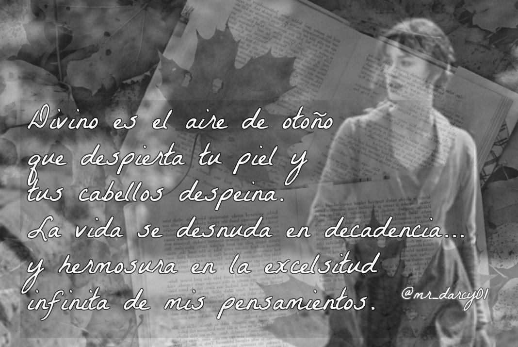 Mr. Darcy tweet media