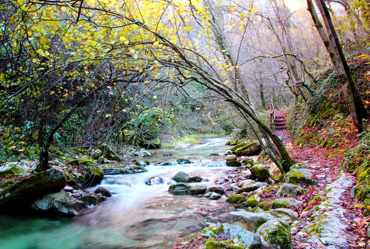 Italia's tweet photo. La #Valle dell' #Orfento nel @ParcoMajella, con la rigogliosa vegetazione, le #cascate e i giochi d’acqua dell’omonimo #fiume. #Abruzzo https://t.co/KmNrlT2ZA1