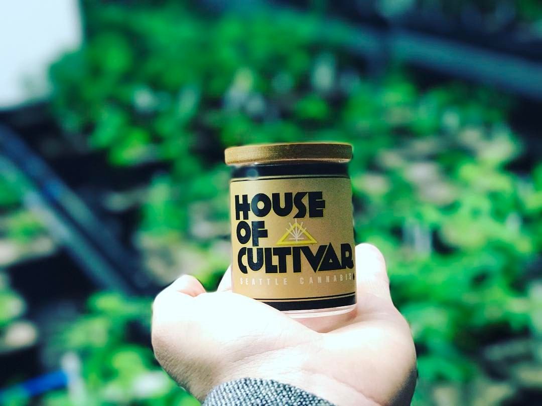 Have you tried our flower from House of Cultivar? They're well-known for growing some of the best #cannabis in Washington. #marijuana