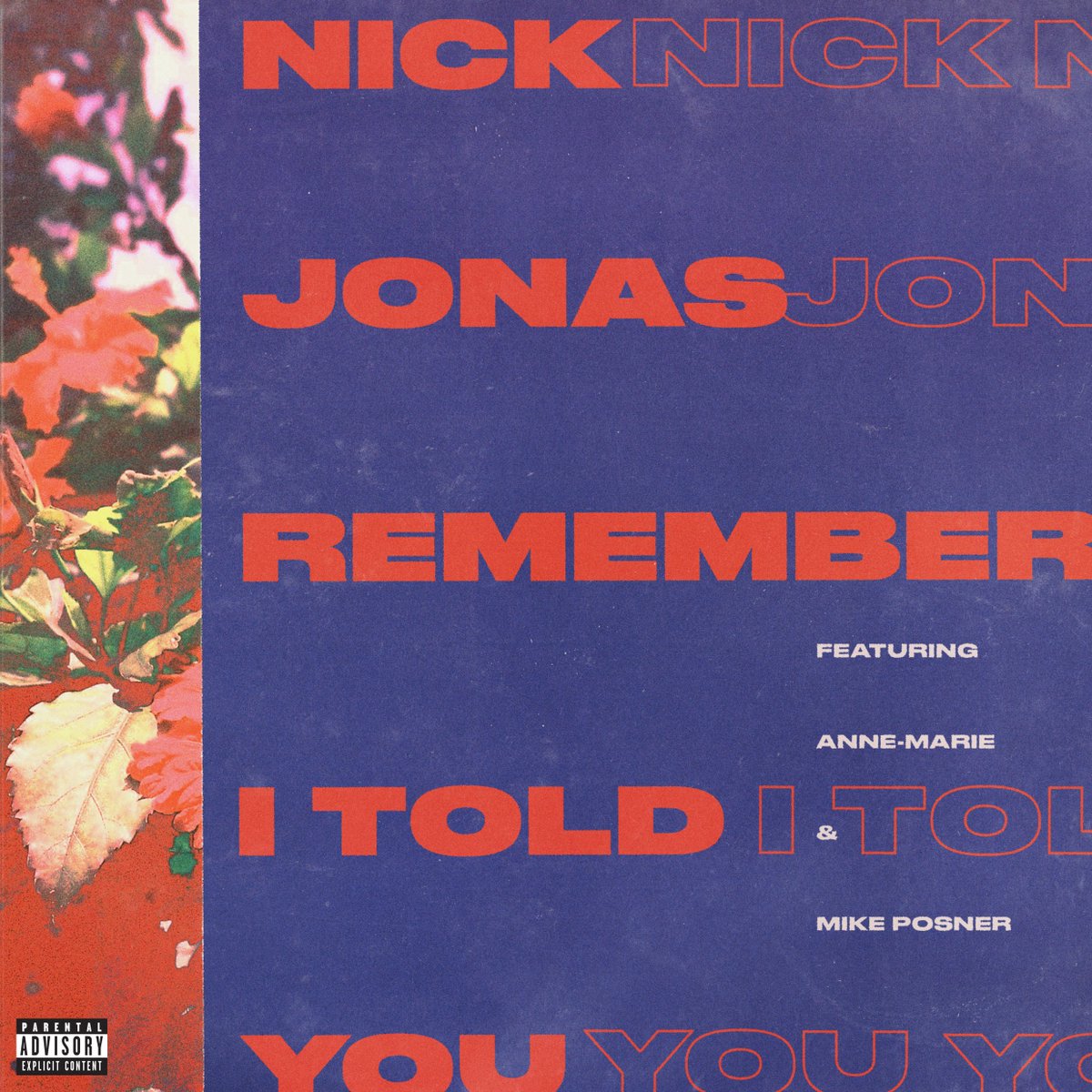 extrauditory's tweet image. Listen to @nickjonas' brand new single "Remember I Told You" with @AnneMarieIAm &amp;amp; @MikePosner extrauditory.co.uk/single-post/ni…