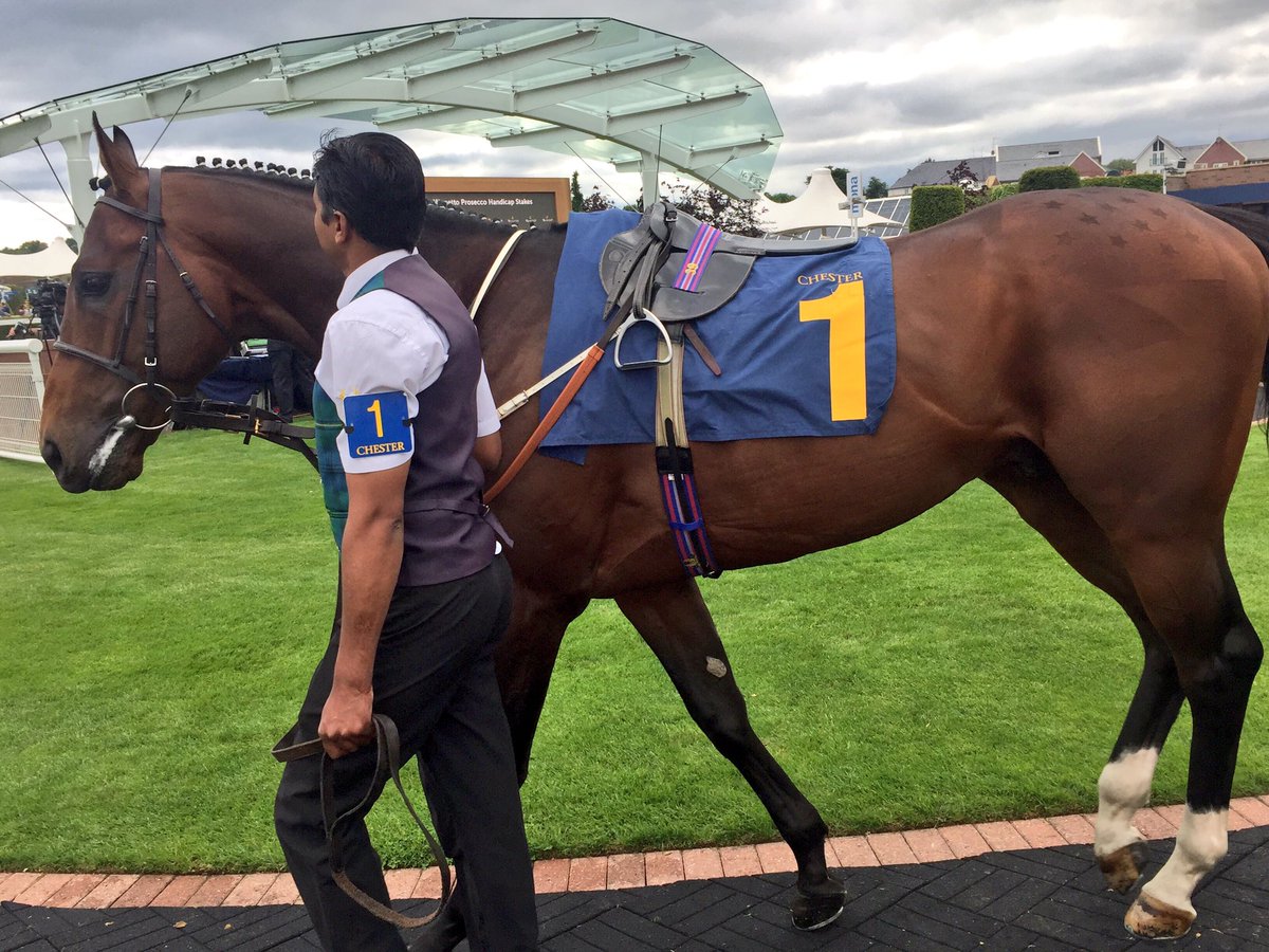 GreyhoundGuy1's tweet photo. Voski looks lovely here at Chester #races https://t.co/WsCMWI4eRe
