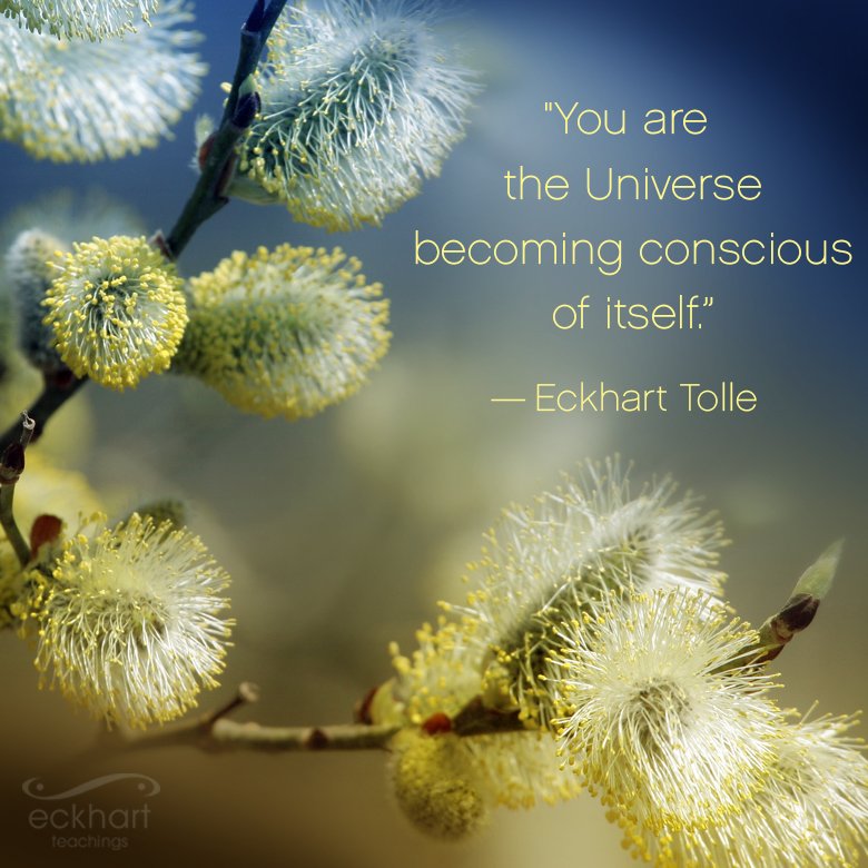 EckhartTolle's tweet photo. You are the Universe becoming conscious of itself. ~Eckhart Tolle
#PresentMomentReminder https://t.co/ucaOGJNOdP
