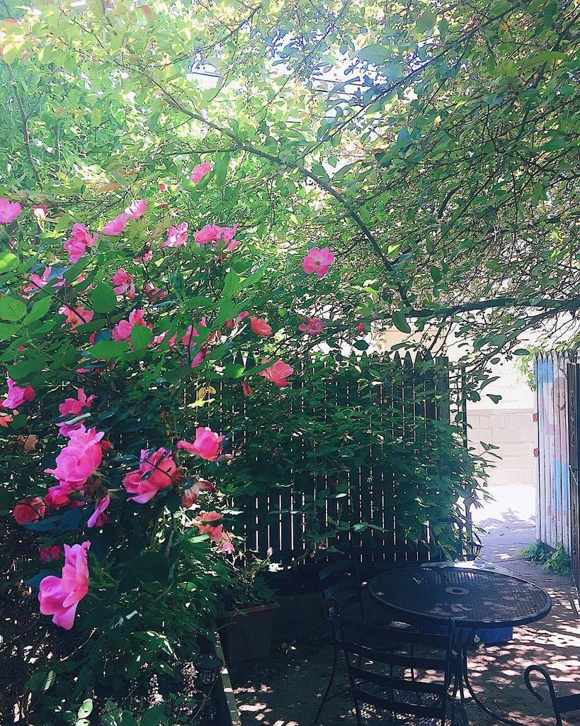 We're sharing images on Instagram @hamiltonlauraville. Check out our latest post:ift.tt/2rse4IW