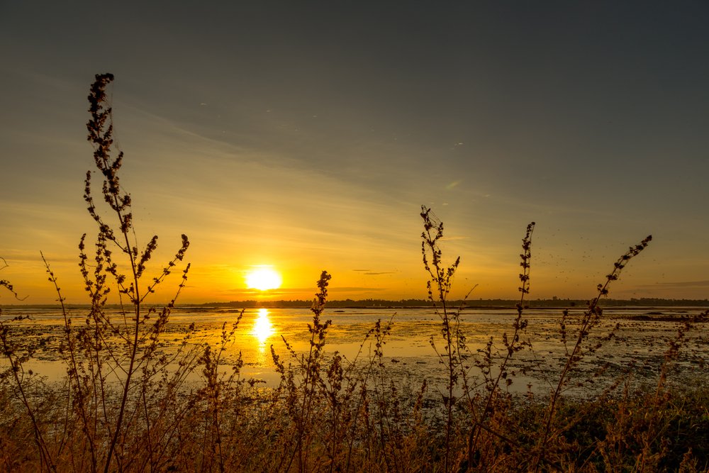 We believe this is a view worth saving. Retweet if you agree it’s time to #StandForOceans