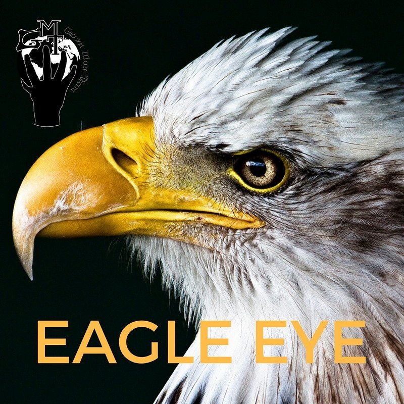 GeneralGrown's tweet photo. Observe KEENLY! #SALUTE FROM #GROWN DA #GENERAL! #GMT #founder #general #grownman #team #hustle #eagleeye #pushwithoutlimits #successmindset https://t.co/iyi78rh7Qo