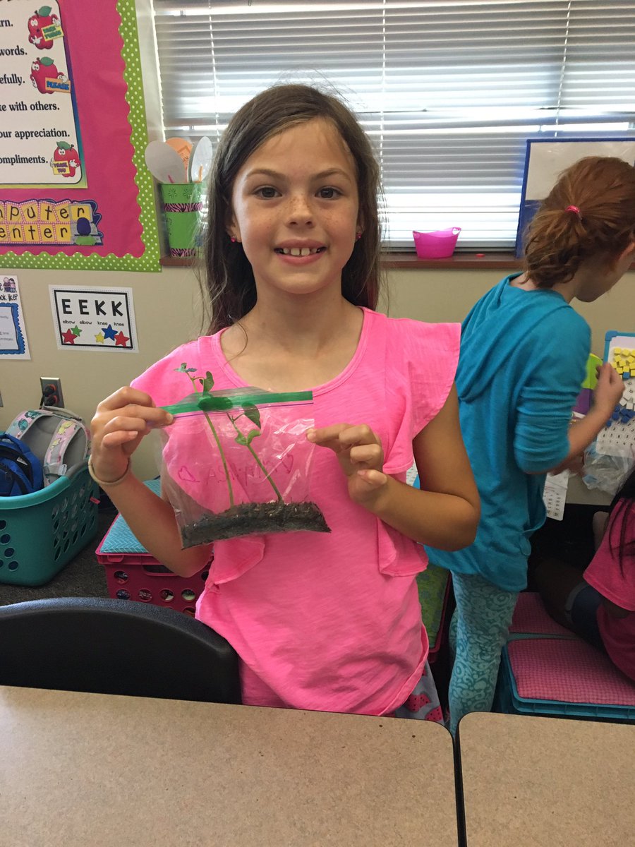MCorley_ASE's tweet image. These kiddos have bloomed this year just like their plants. @HumbleISD_ASE #plantingseedsofknowledge