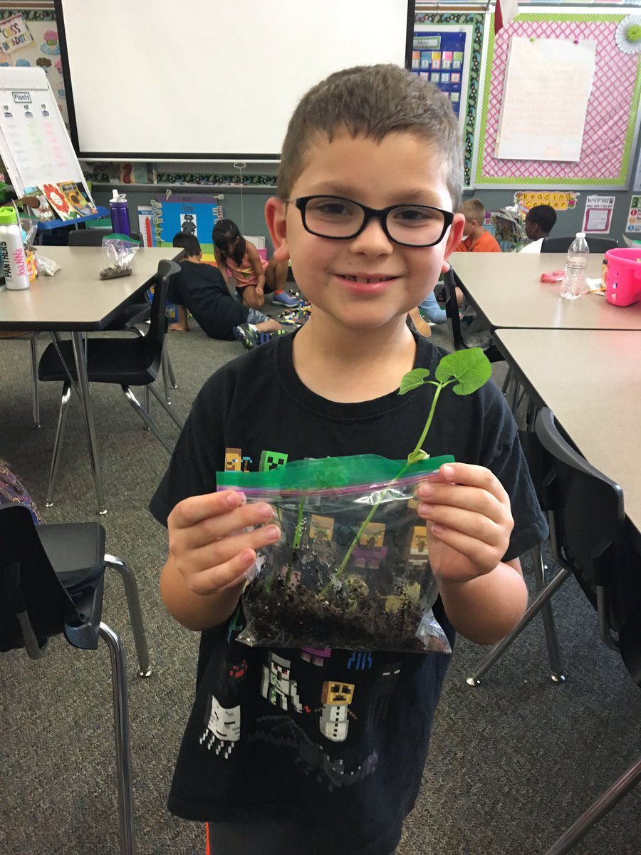 MCorley_ASE's tweet image. These kiddos have bloomed this year just like their plants. @HumbleISD_ASE #plantingseedsofknowledge