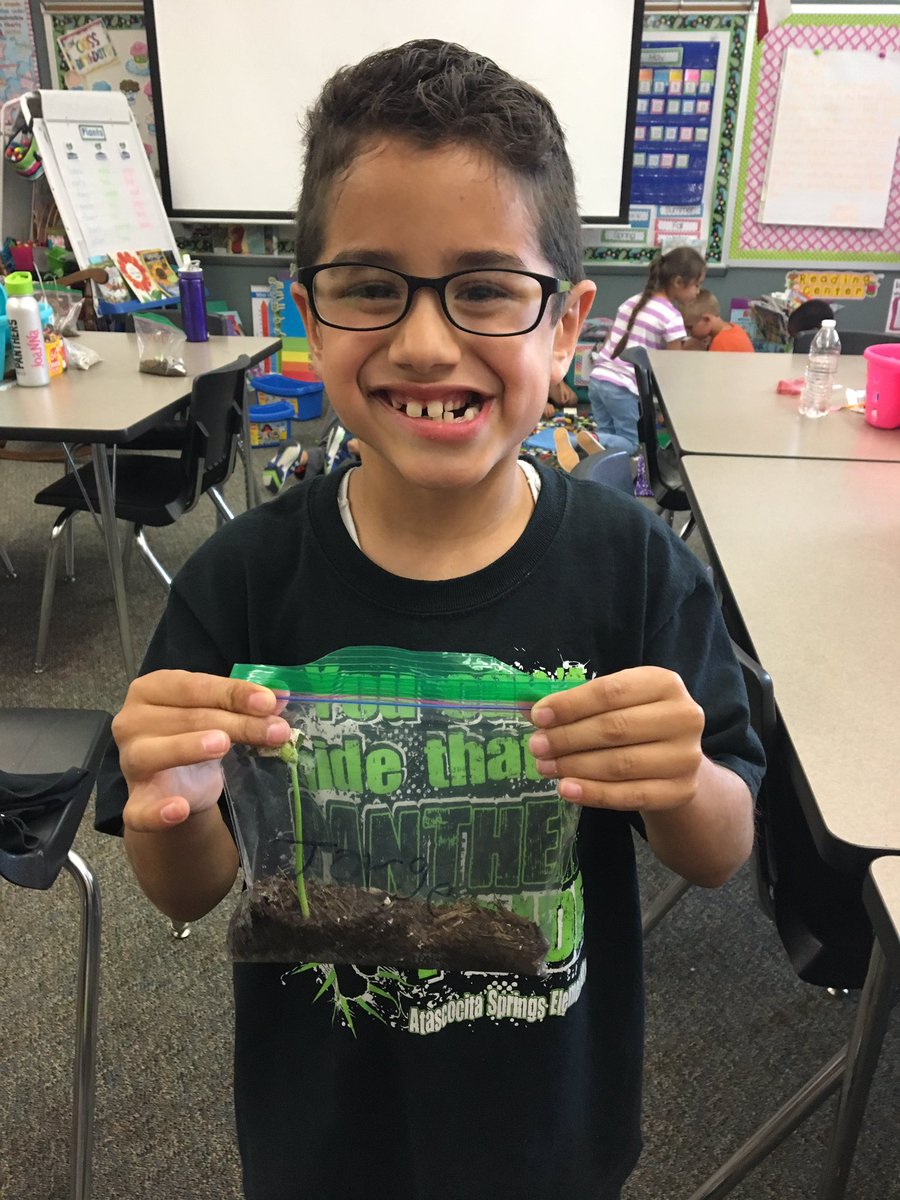 MCorley_ASE's tweet image. We have growth! @HumbleISD_ASE #plantingseedsofknowledge