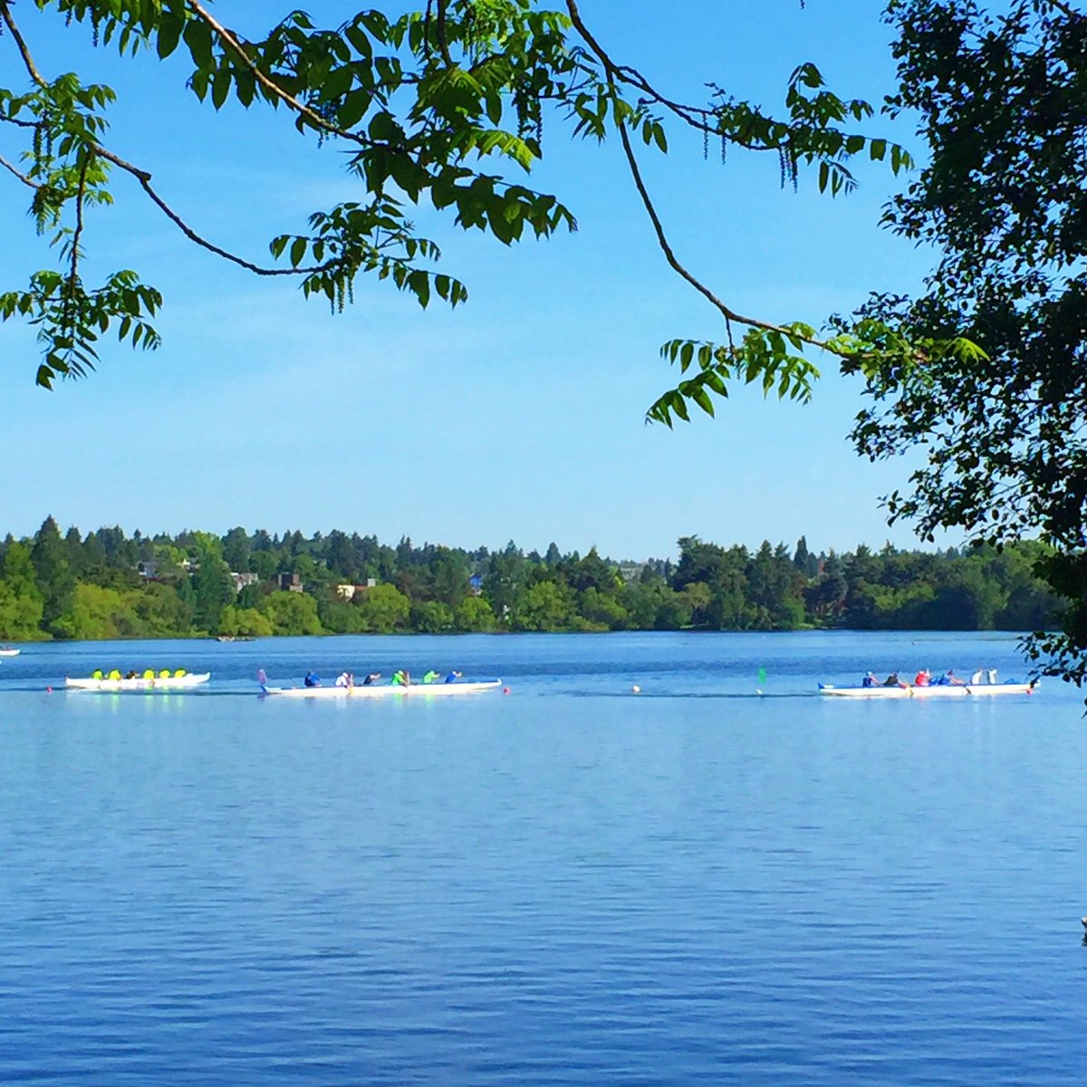 CourtStrand's tweet photo. Nice view from our run today with my #LeftCoastRunners #OutriggerCanoes #Racing #Greenlake https://t.co/3jw9BUUyKJ