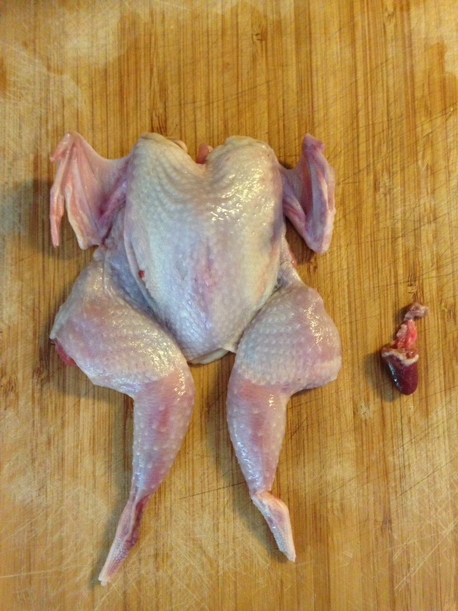 Robot_Acid's tweet photo. #new #acid #afterwork #quail #heart #stay-tuned #tonight #live https://t.co/G7i9qJ9ptB