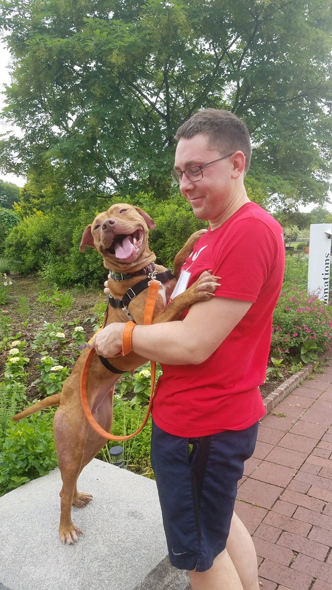 KeithKelly's tweet photo. Remy is just one of the adoptable dogs at @HumaneRescue! https://t.co/BKS6vgPN8x