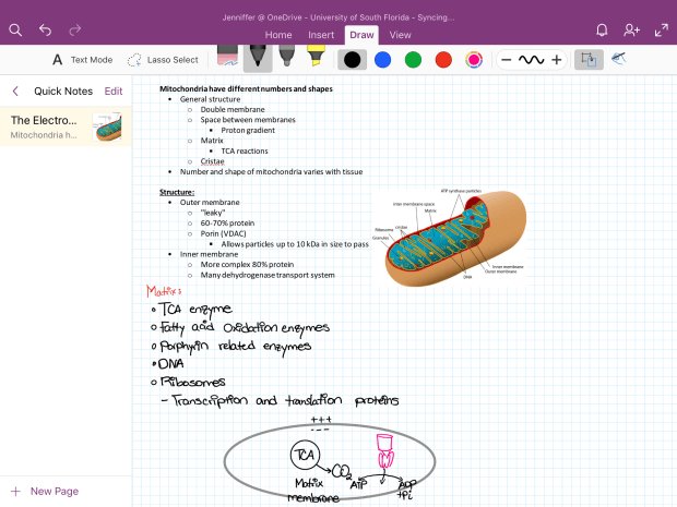 LifeisMessyandB's tweet image. #notetaking #Notes #noteapp #bestapps #college #education #school #student #university
♡ 
buff.ly/2qoGFe2