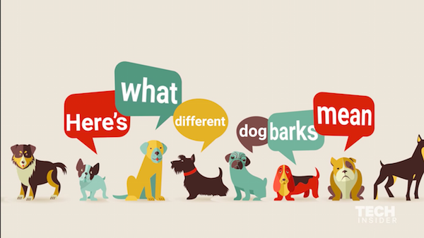 KayaBella_Love's tweet photo. Learn What Different Dog Barks Mean! #dogbarks #petowners #dogowners #dogs #science https://t.co/mDK1Ybsa0e https://t.co/4VXctCucwE