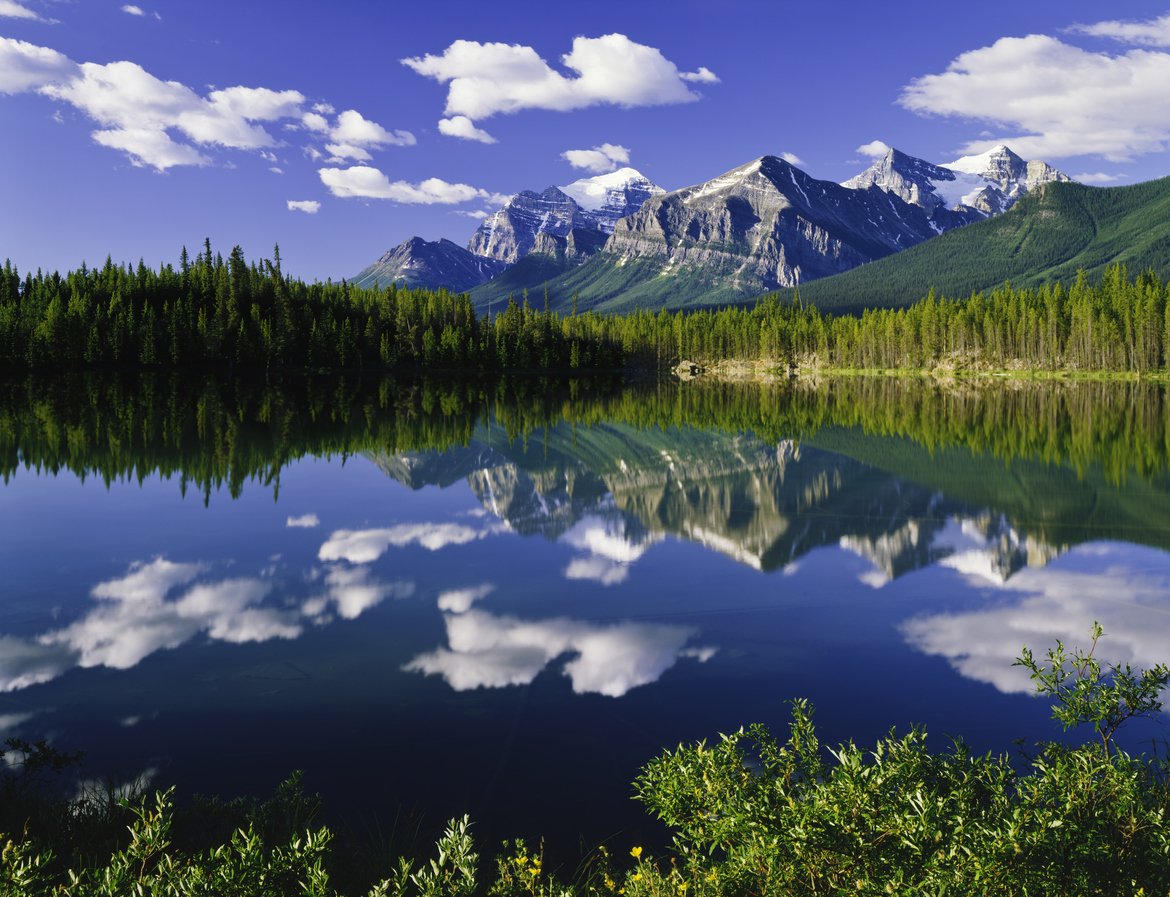 FCECornwall's tweet image. Looking at moving to Canada? Sign up for the Down Under Centre's FREE webinar on Tuesday 30th May. #expat #movingabroad #overseasmigration