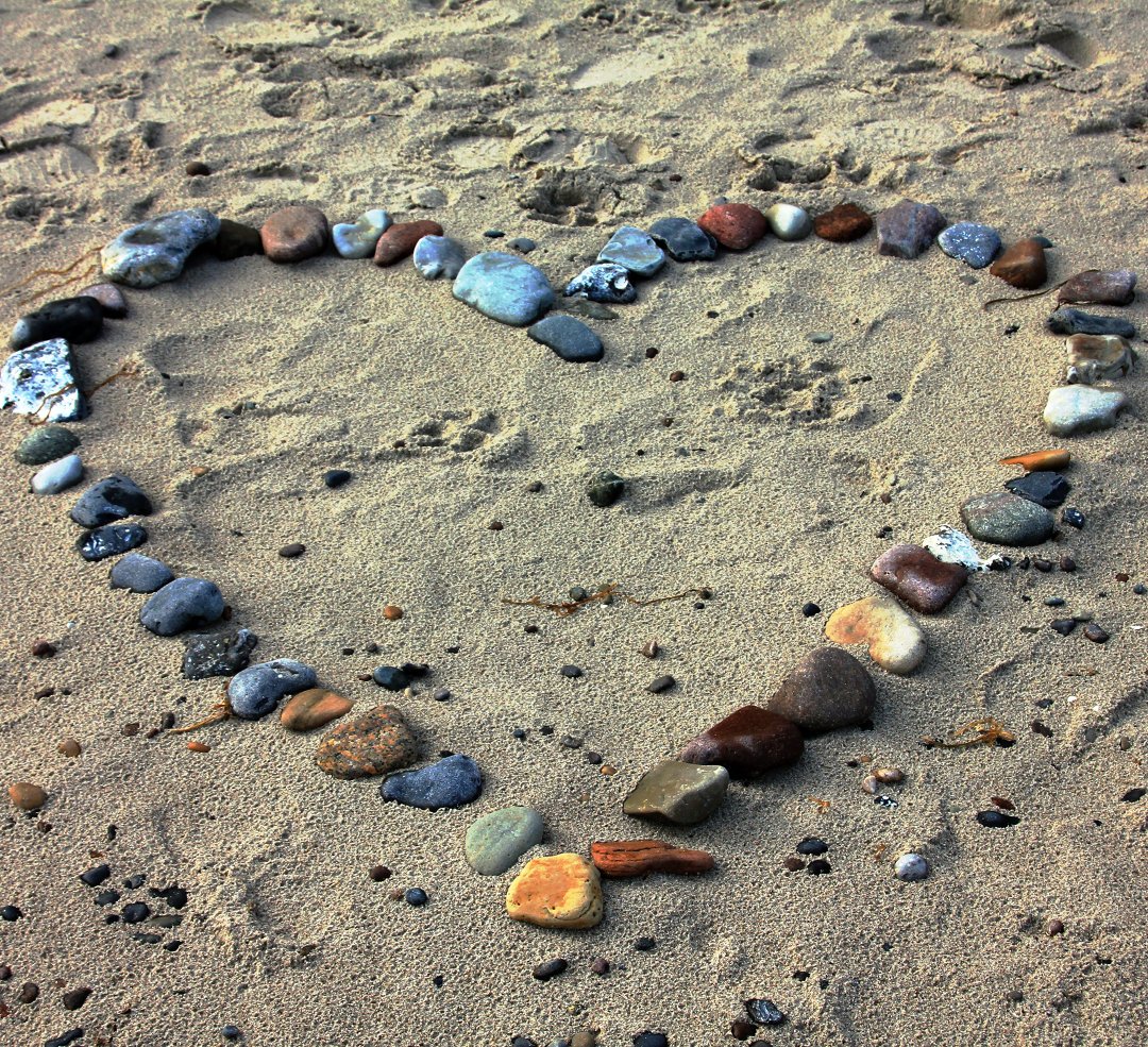 FuerteGuide's tweet image. We've had an ace day on the beach ✌🌴🌅 Come and visit the Canary Islands best beaches! #Fuerteventura #beach #beachlife #feelingcontent