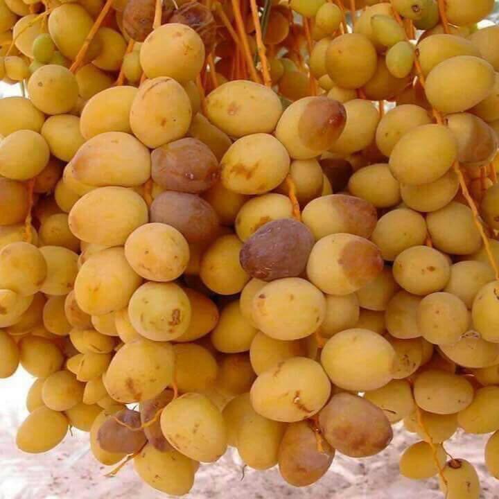 AJpf8's tweet photo. @rawya_00  https://t.co/ZbJEUpHZix
