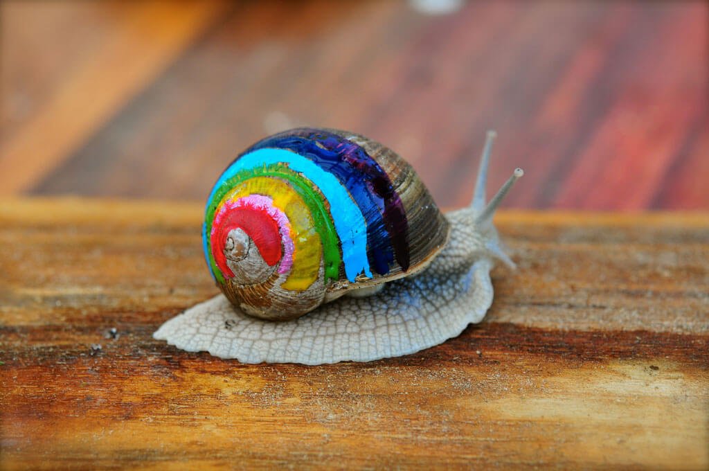 BerryInfaux's tweet photo. INFAUX PRIORITAIRE : Alerte enlèvement. De nombreux escargots toujours introuvables à la veille de la fête des mères. #Bourges #Berryinfaux https://t.co/xBvJmdOcHl