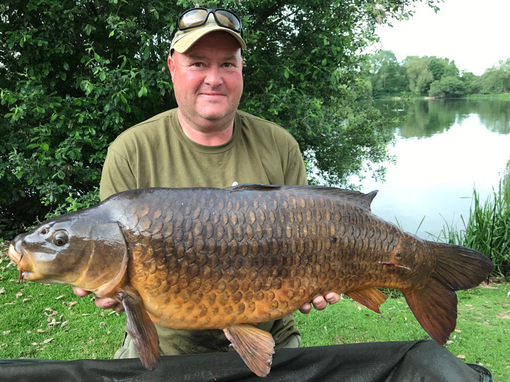 oldcbs1's tweet photo. 29lb13oz PB Common 👍🏻@FarlowsLake https://t.co/lANHvIEYcT