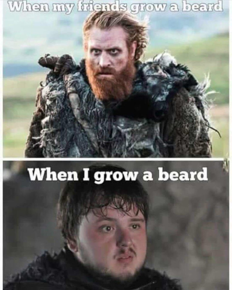 PaulMinshaw's tweet photo. So true 😂 #fuzzyfur #beard #fluff https://t.co/A69F2WeBIz